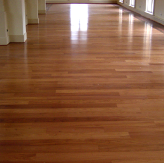 Comintecc-Palacio Riesco2.jpg Comintecc-Palacio Riesco2.jpg